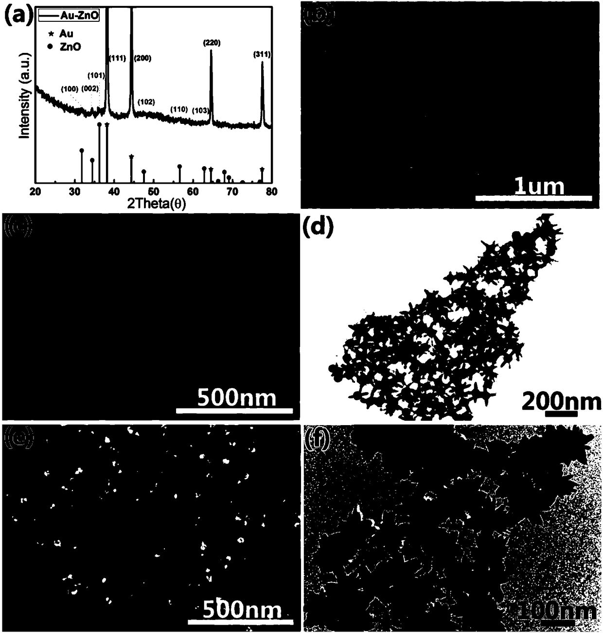 Gold-zinc oxide hetero-junction nano-particle array and method for preparing same