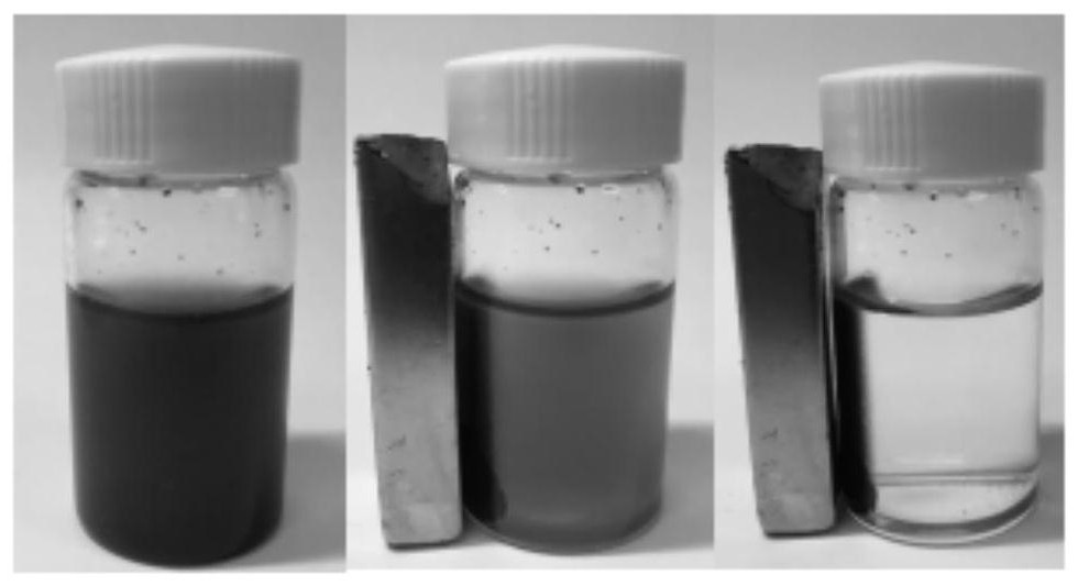 Surface-modified magnetic halloysite nanotube inner and outer walls simultaneously immobilized chloroperoxidase reactor and its application