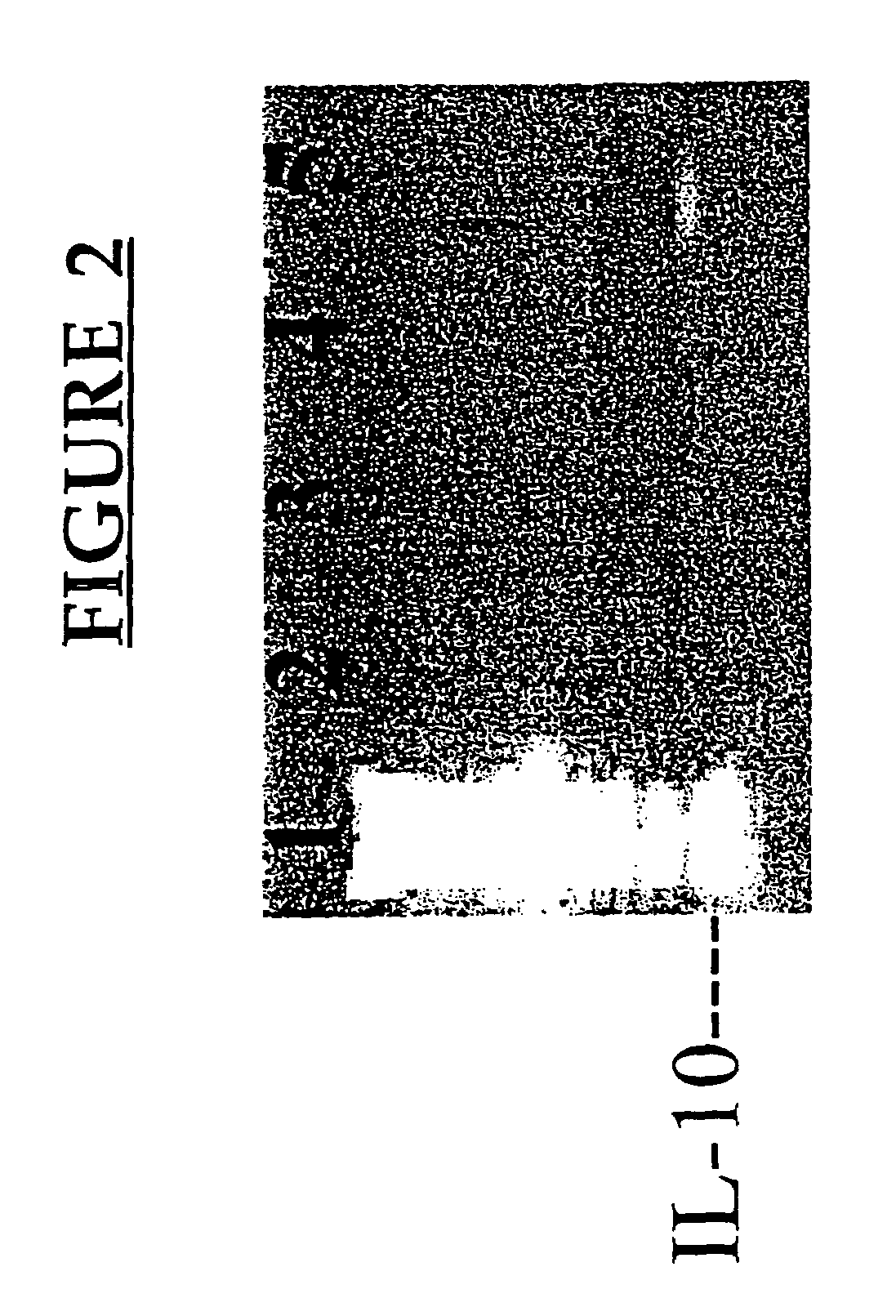 Methods of treating allergy by administering a CD200 protein