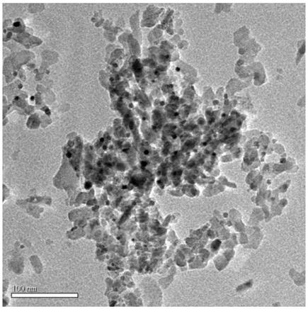 Carbon material supported palladium catalyst, as well as preparation and application thereof