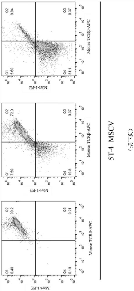 Transduction plasmid, lentiviral vector system containing same and application of transduction plasmid