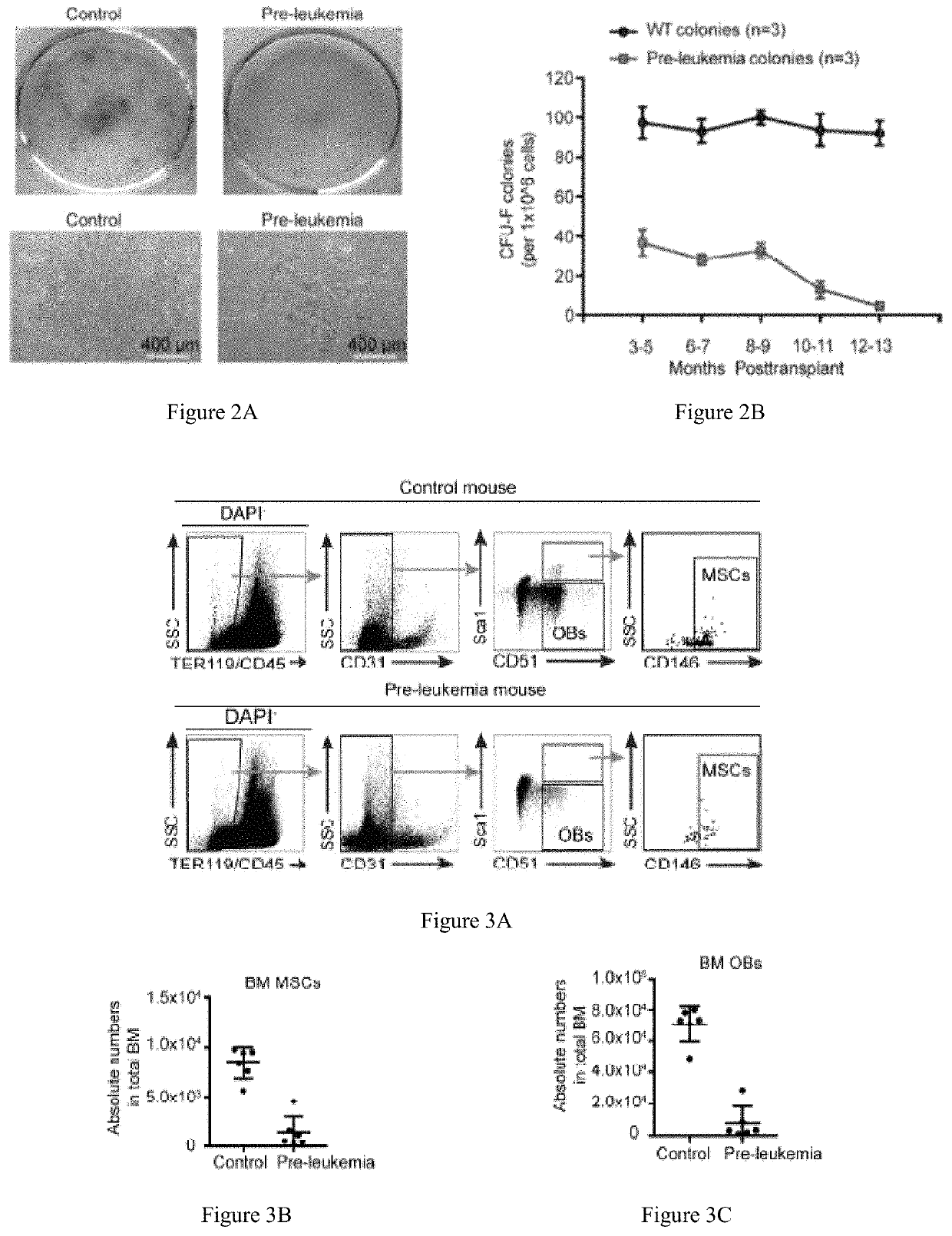 Method for remolding bone marrow microenvironment