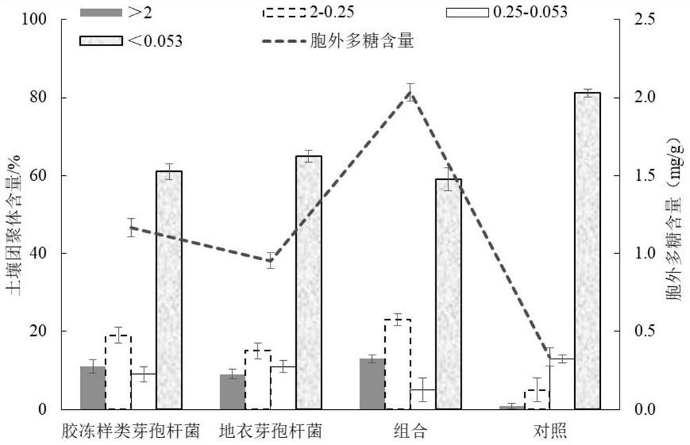 A kind of secondary salinized soil remediation bacterial agent and its application