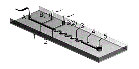 Microfluidic chip based method for synthesizing needle-like hydroxyapatite nanoparticle