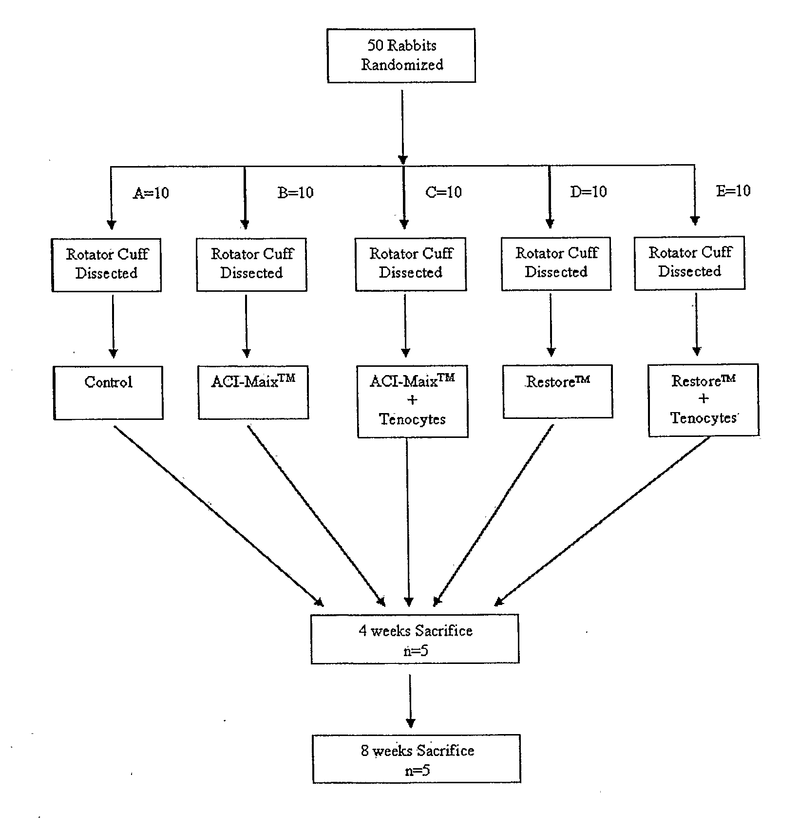 Tenocyte containing bioscaffolds and treatment using the same