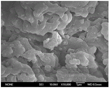 Method for preparing complex antimicrobial agent by blending chitosan and silver copper