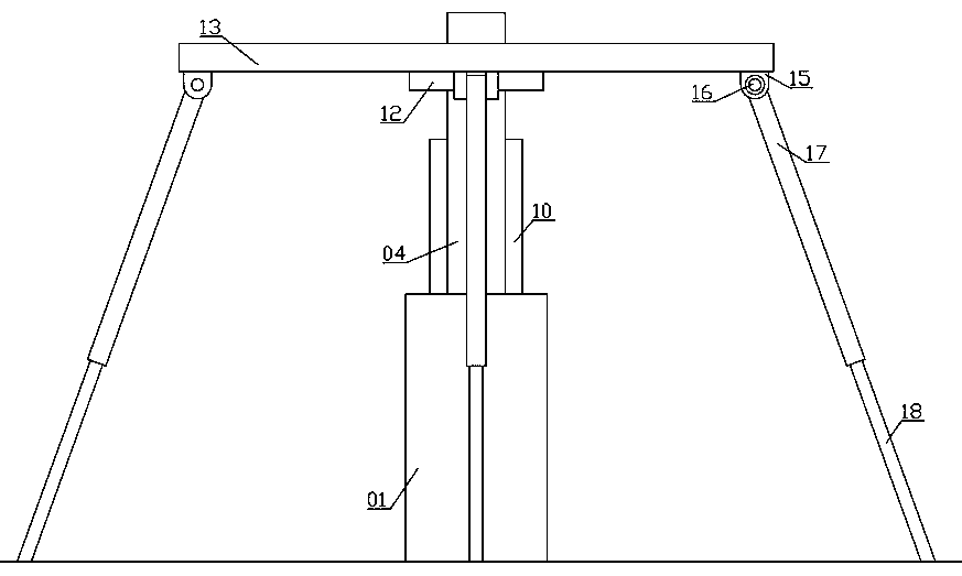 Canopy frame structure of Hylocereus undatus 'Foo-Lon'