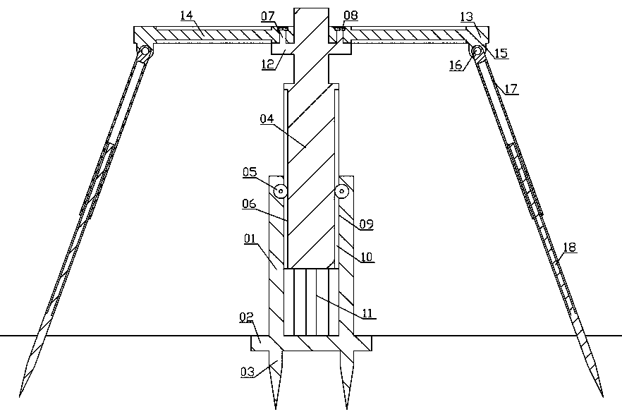 Canopy frame structure of Hylocereus undatus 'Foo-Lon'