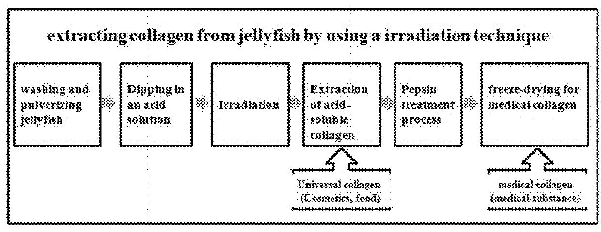 Method for isolating collagen from jellyfish by using radiation