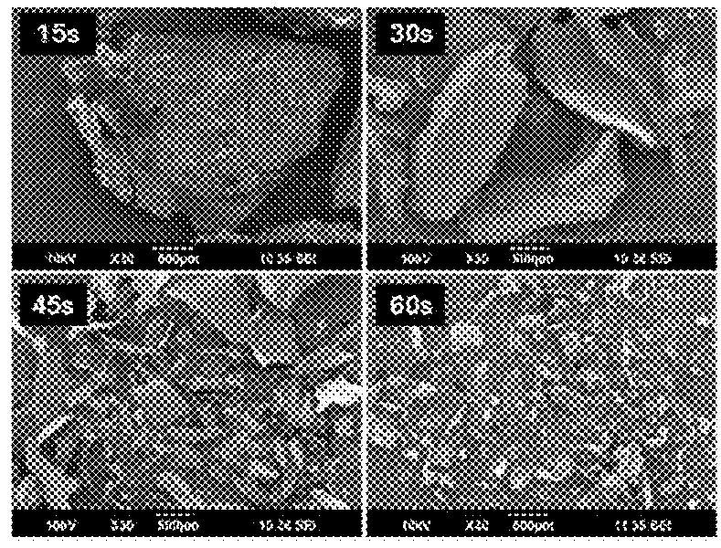 Method for isolating collagen from jellyfish by using radiation