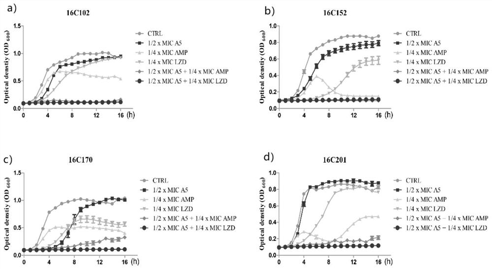 Application of Cinacalcet in inhibiting biological activity of gram-positive bacteria