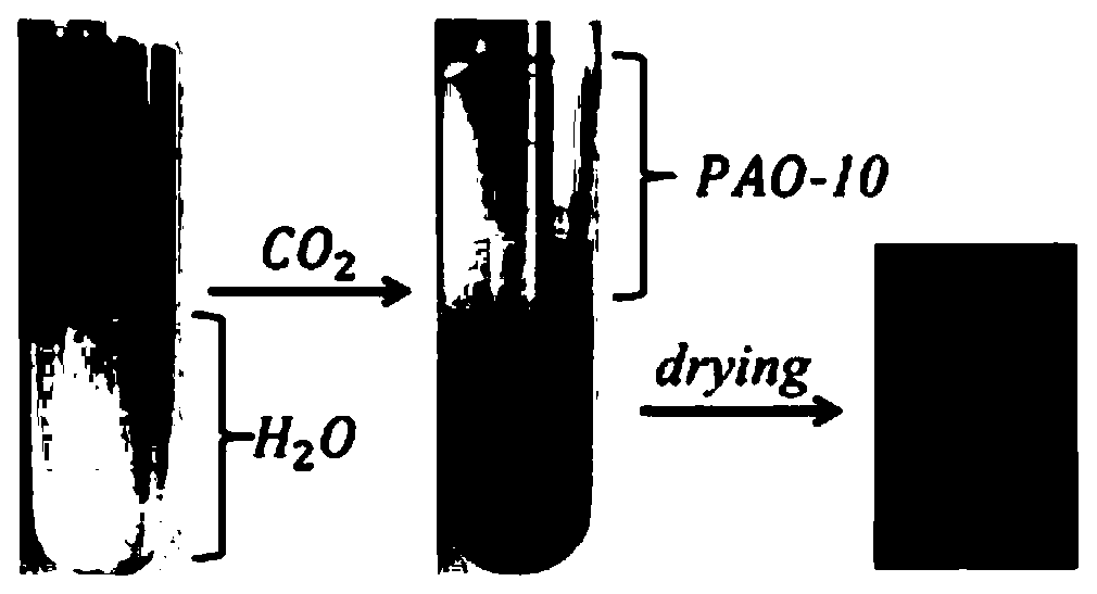 Recyclable carbon quantum dot nano lubricating oil additive and preparation method thereof