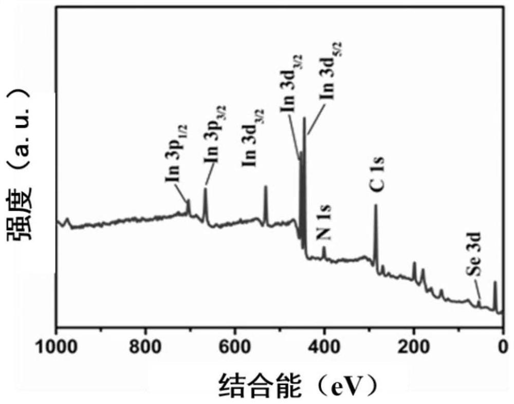 Indium selenide/nitrogen-doped reduced graphene oxide composite material as well as preparation method and application thereof