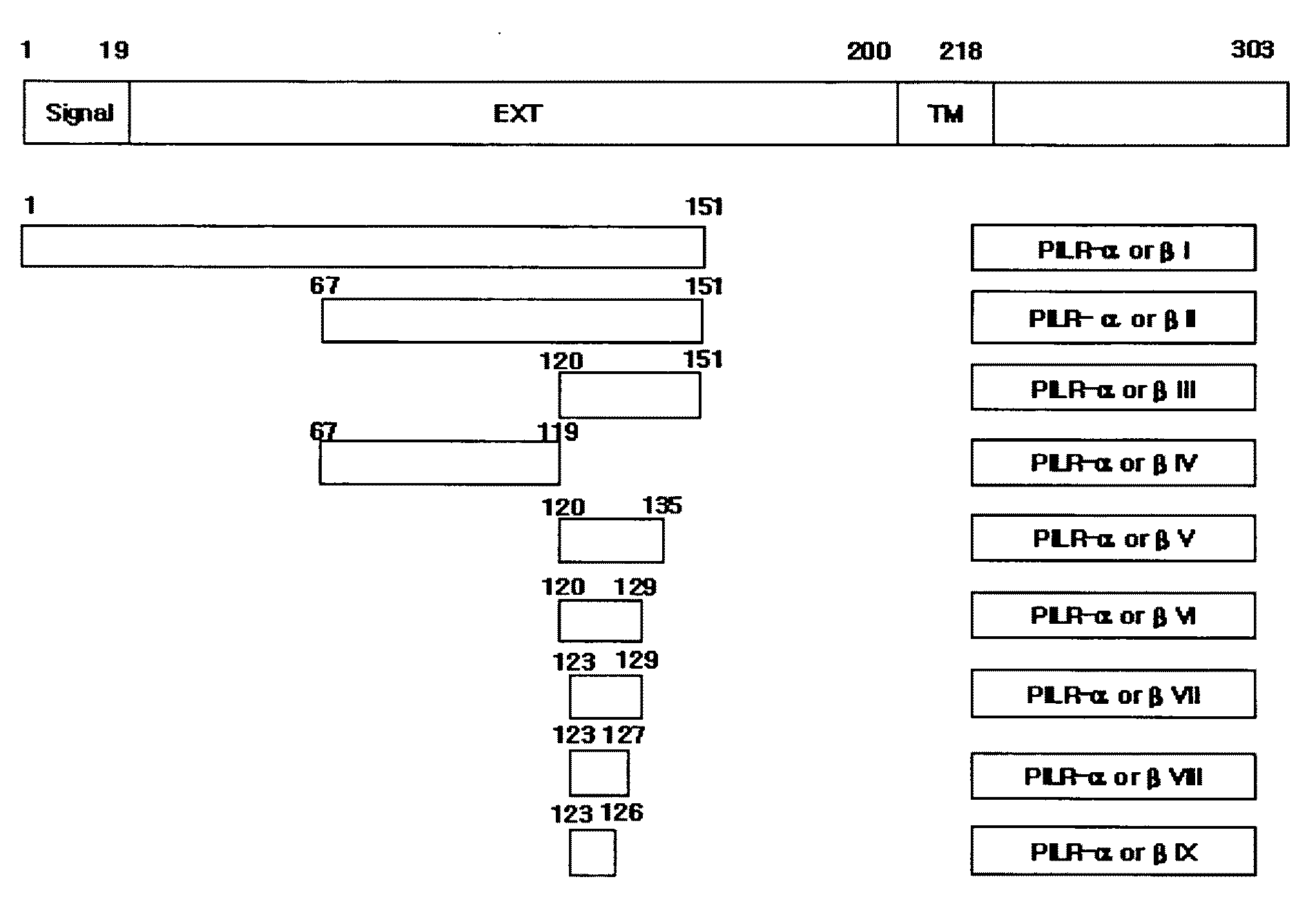 Polypeptides or fusion proteins thereof inhibiting transmigration of leucocytes or growth and/or metastasis of cancer cells