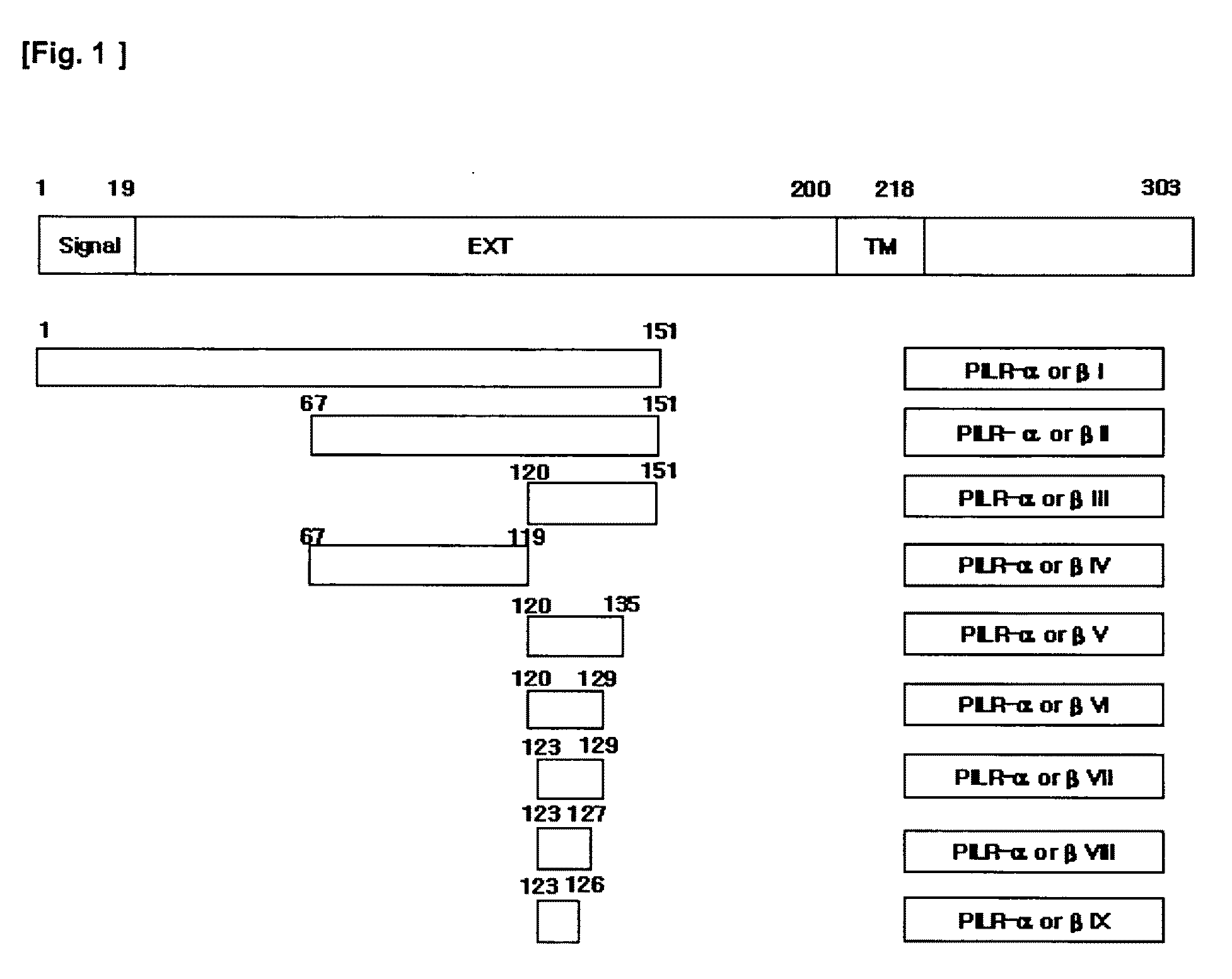 Polypeptides or fusion proteins thereof inhibiting transmigration of leucocytes or growth and/or metastasis of cancer cells