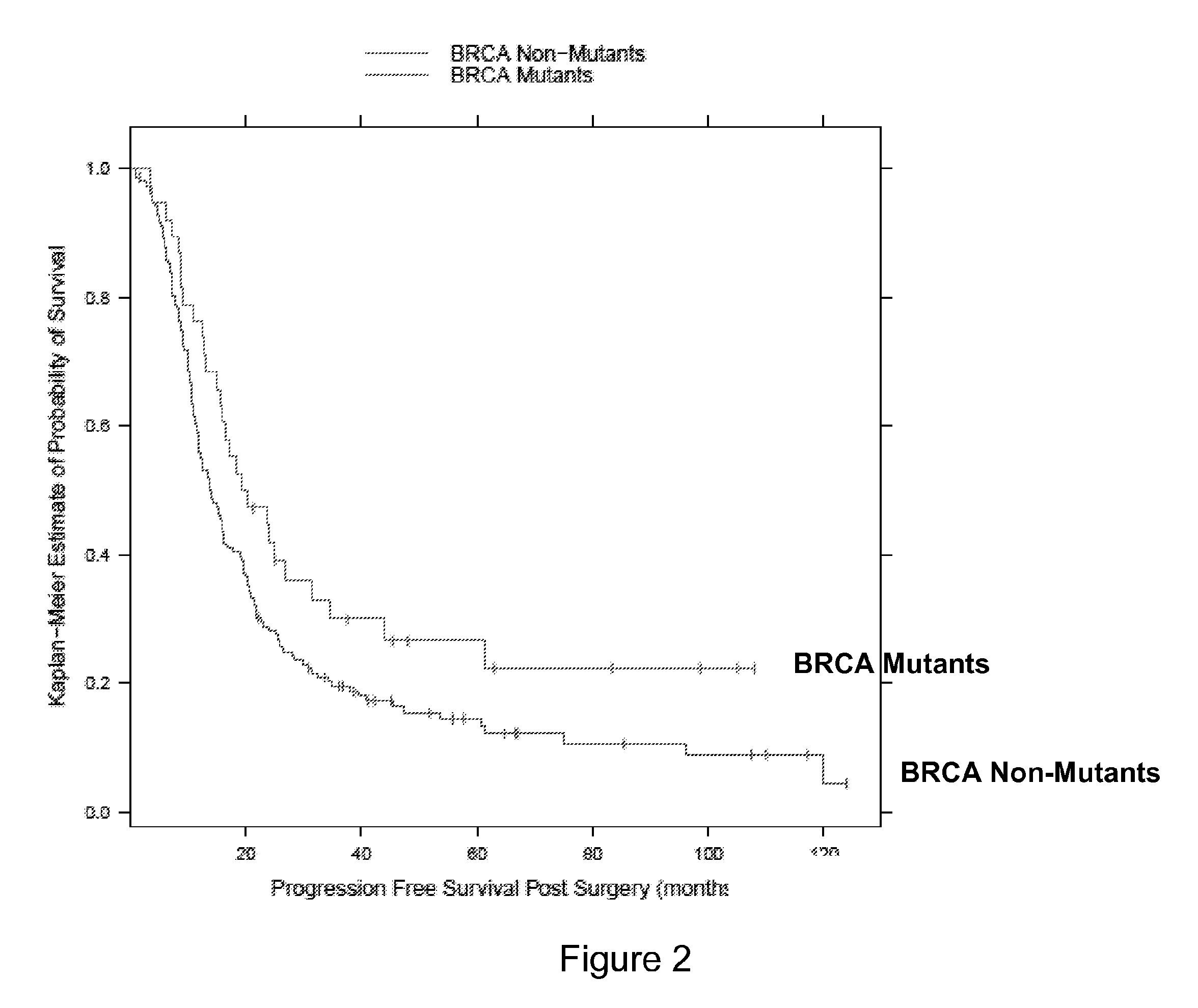 Compositions and methods for determing cancer susceptibility