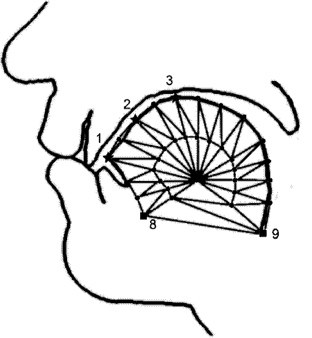 Method for generating lattice animation of vocal organs