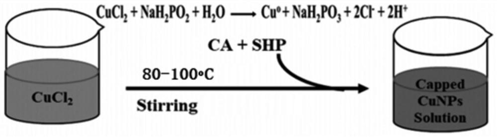 Method for preparing flexible conductive film by coating copper nanoparticles with citrate