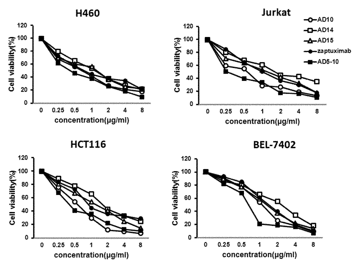 Humanized monoclonal antibodies against the extracellular domain of human death receptor 5