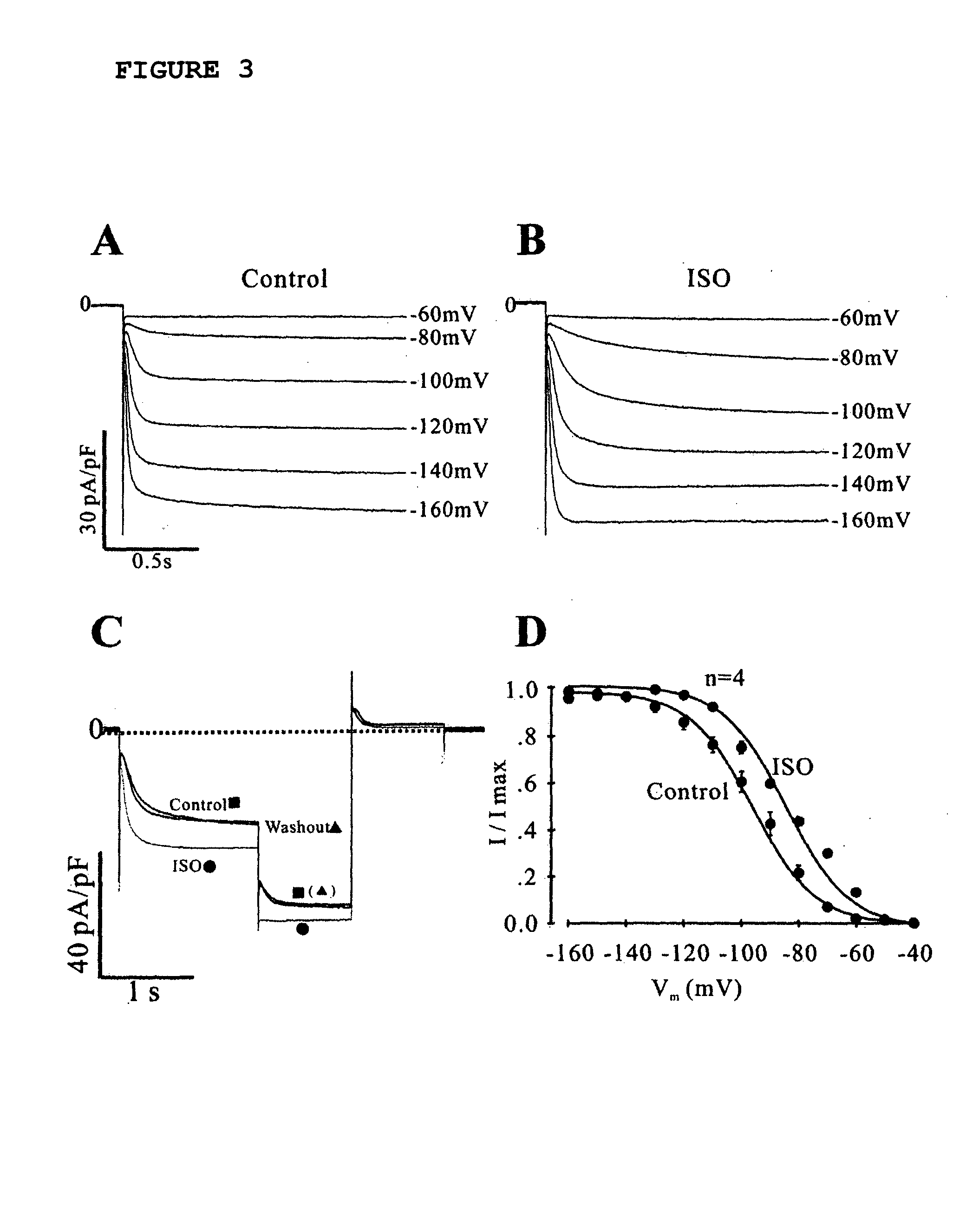 Assay System For Monitoring The Effects Of Genetically Engineered Cells To Alter Function Of A Synctium