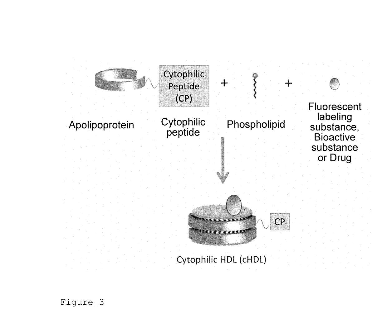 High-density lipoprotein, and delivery of drug to posterior segment of eye by ocular instillation of said cytophilic peptide-fused high-density lipoprotein