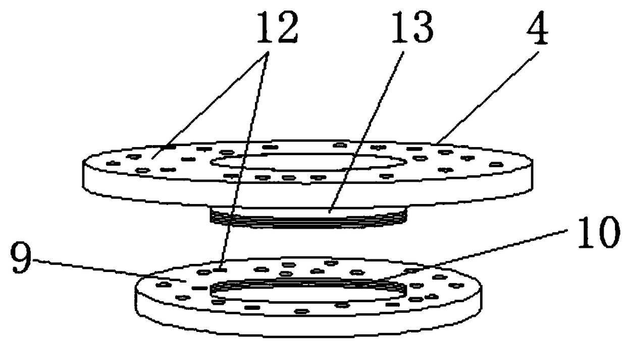 Planting disc for planting ornamental pepper convenient for observation