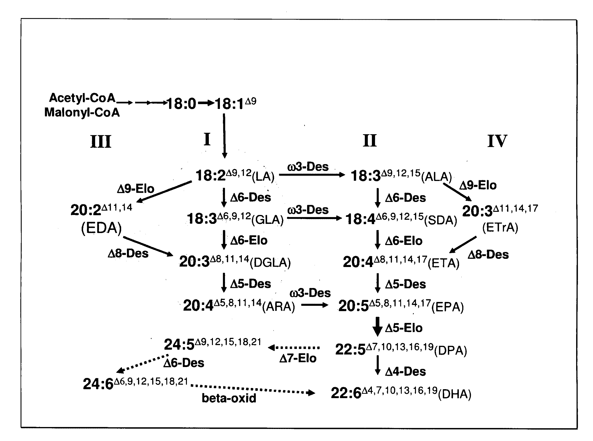 Synthesis of long-chain polyunsaturated fatty acids by recombinant cells