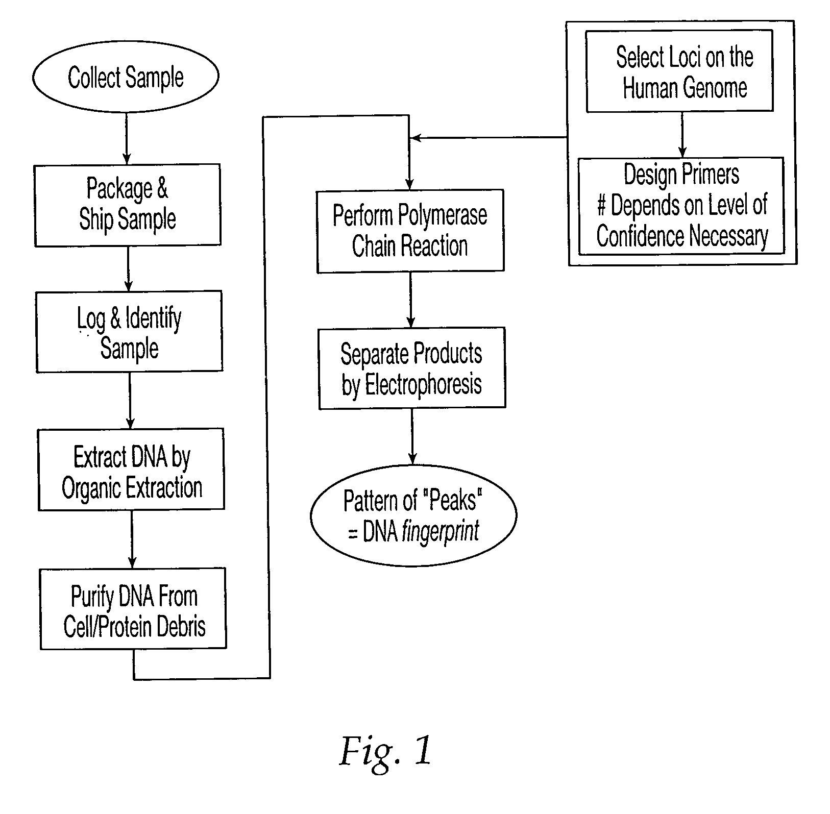 Methods and apparatus for sample tracking