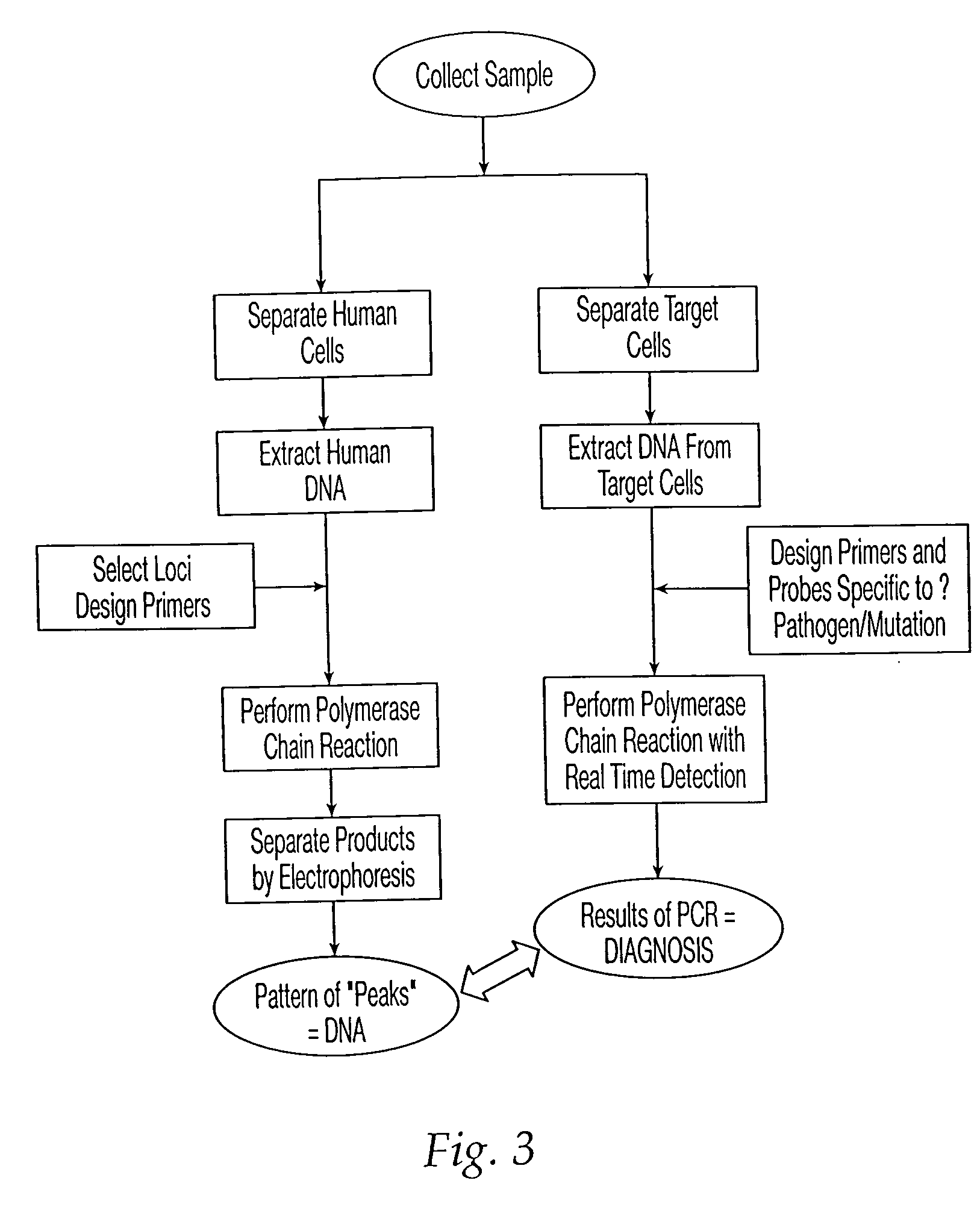 Methods and apparatus for sample tracking