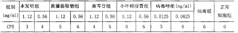 Traditional Chinese medicine composition capable of resisting infection