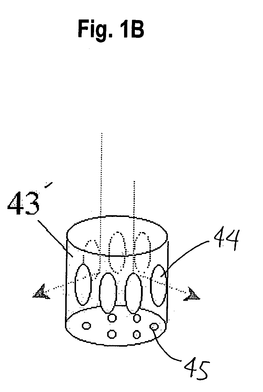 Apparatus and method for forming thin film using upstream and downstream exhaust mechanisms