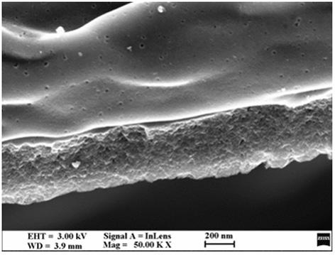 Preparation method and application of biomass porous carbon sheet based on kapok fiber