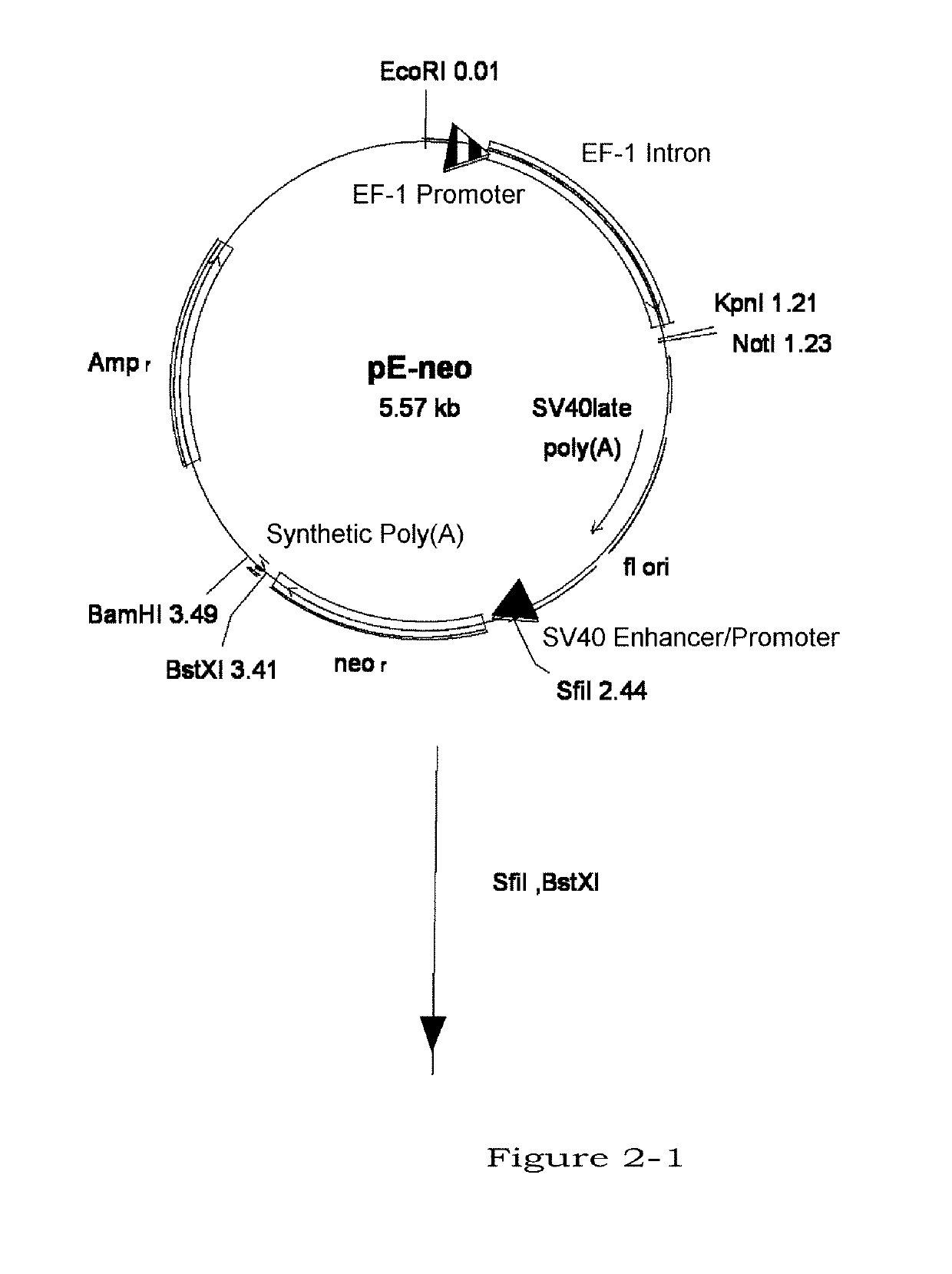 Method for producing glycoprotein having mannose residue as non-reducing end of sugar chain