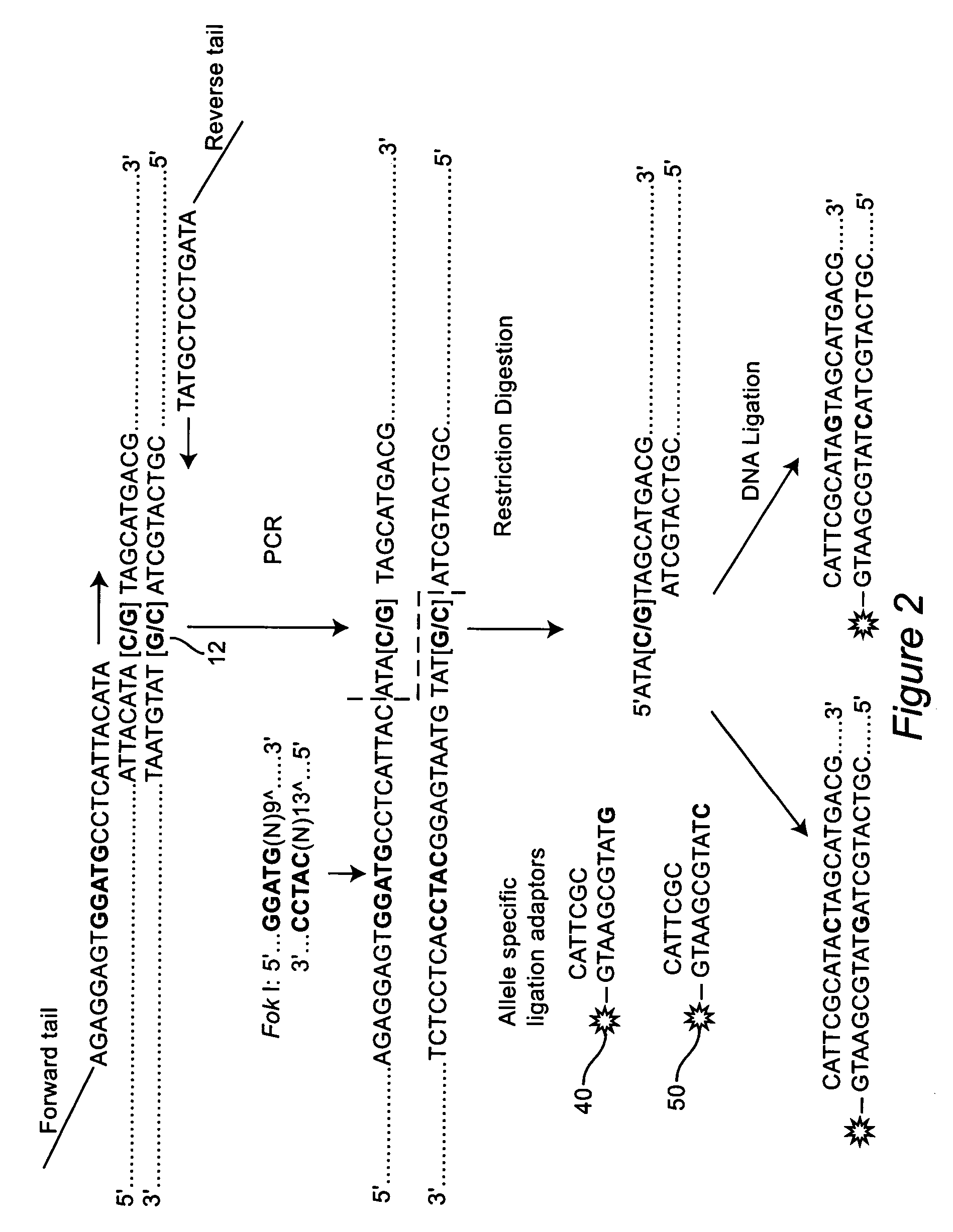 Restriction enzyme mediated method of multiplex genotyping