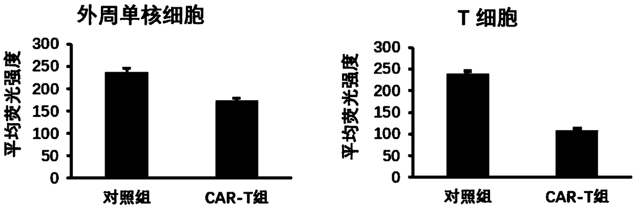 Chimeric antigen receptor modified lymphocyte capable of expressing CXCR4, and preparation method and applications thereof