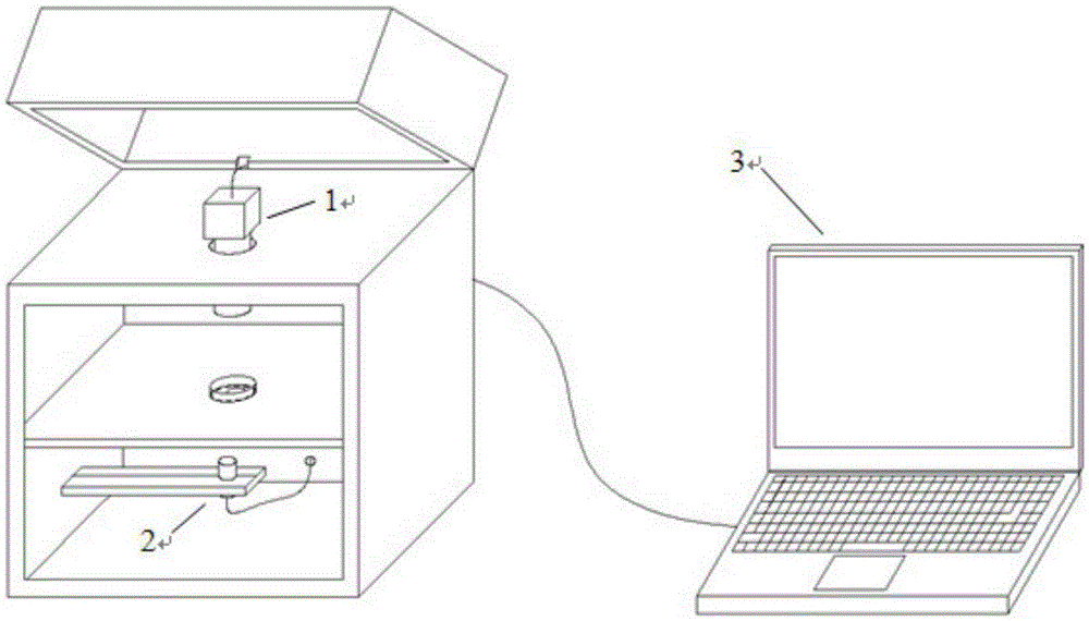 Method for quickly detecting freshness of pork based on laser imaging technology