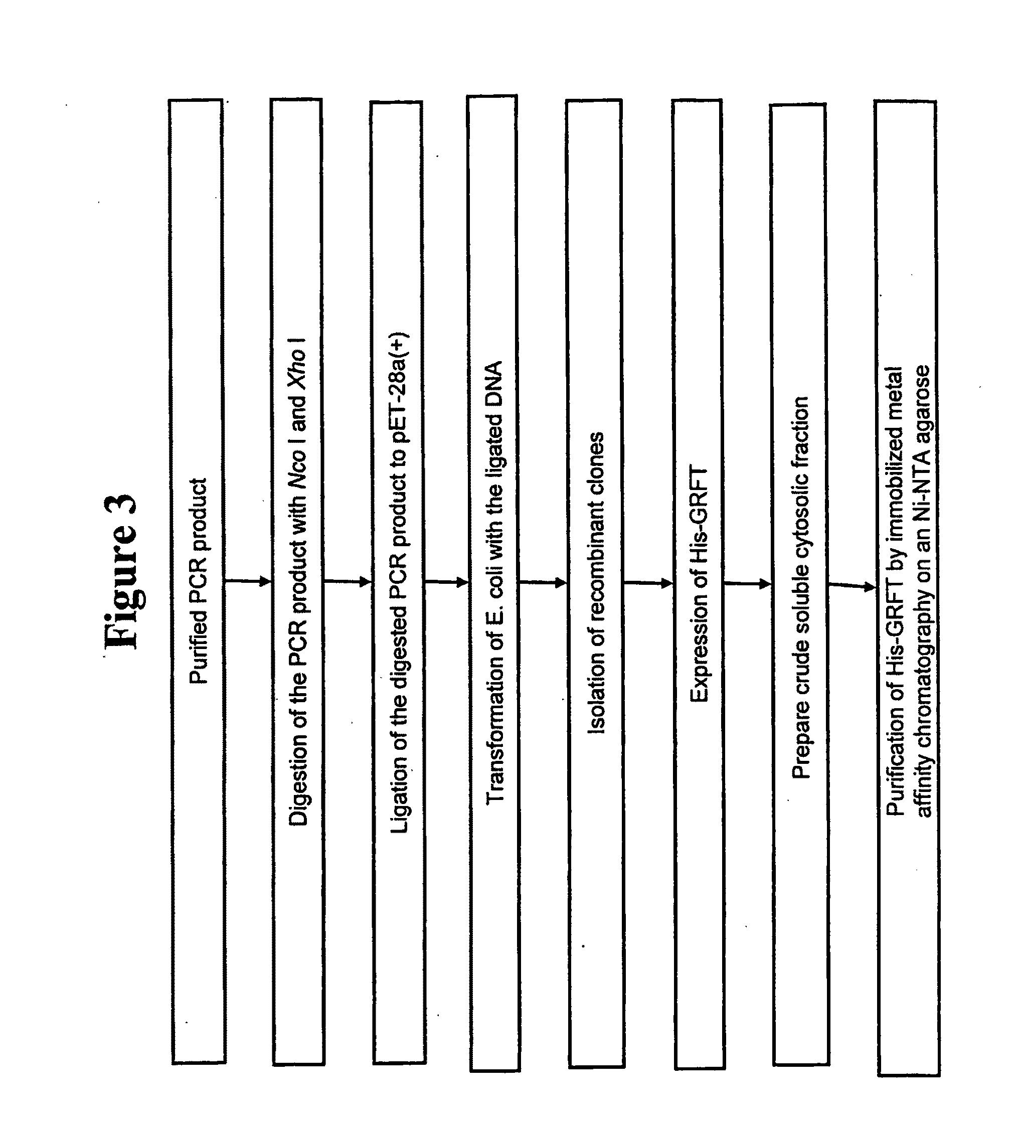 Griffithsin, glycosylation-resistant griffithsin, and related conjugates, compositions, nucleic acids, vectors, host cells, methods of production and methods of use