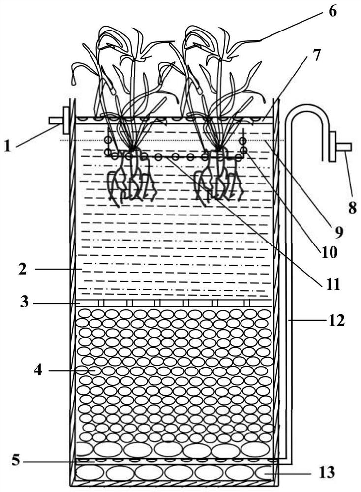 Plant carbon source based novel composite artificial wetland system and application thereof