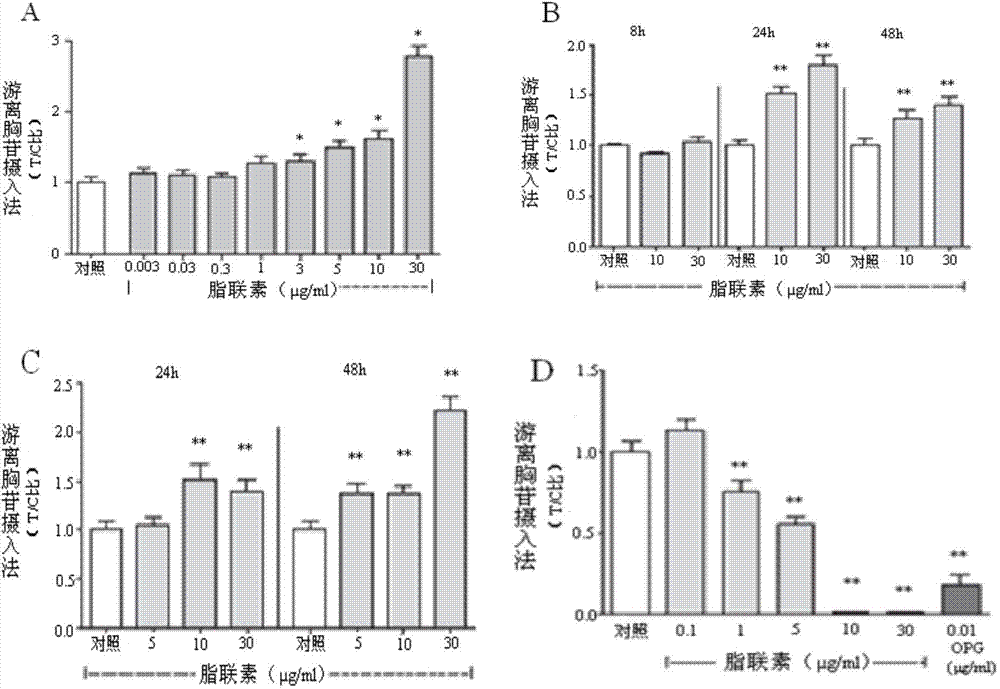 Application of adiponectin in preparing medicine for treating fracture