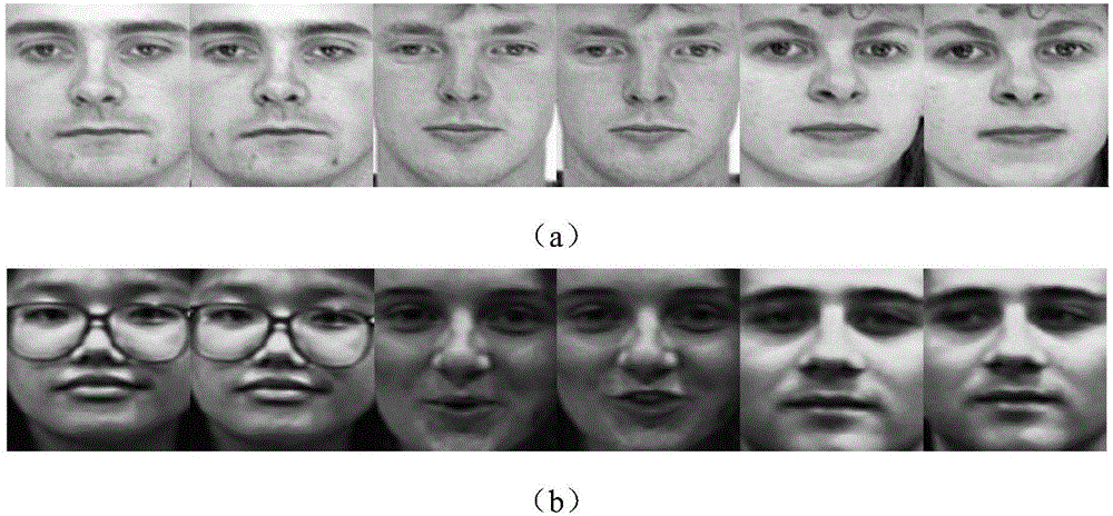 Color human face recognition method for hypercomplex encryption domain