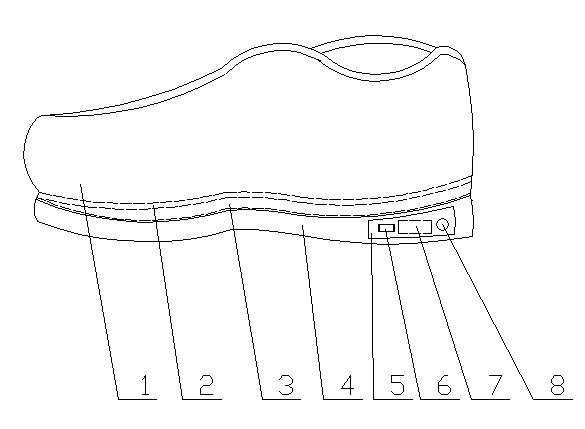 Warm shoes with universal serial bus (USB) interfaces