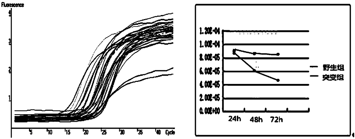 Primer for detecting CPT2 F532C mutation, kit and system for screening severe case EV71 vulnerable child patients