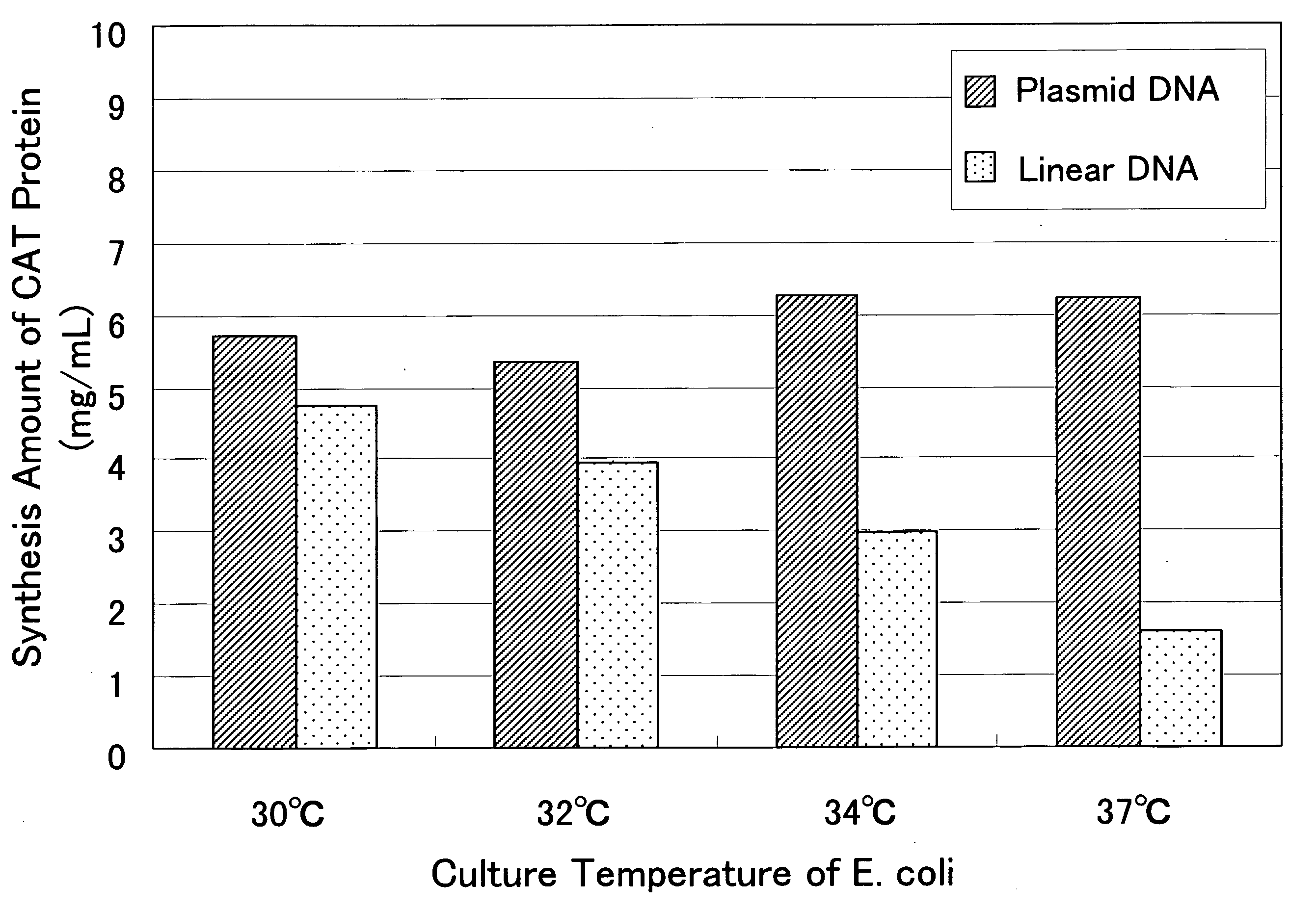 Cell-free protein synthesis method with the use of linear template DNA and cell extract therefor