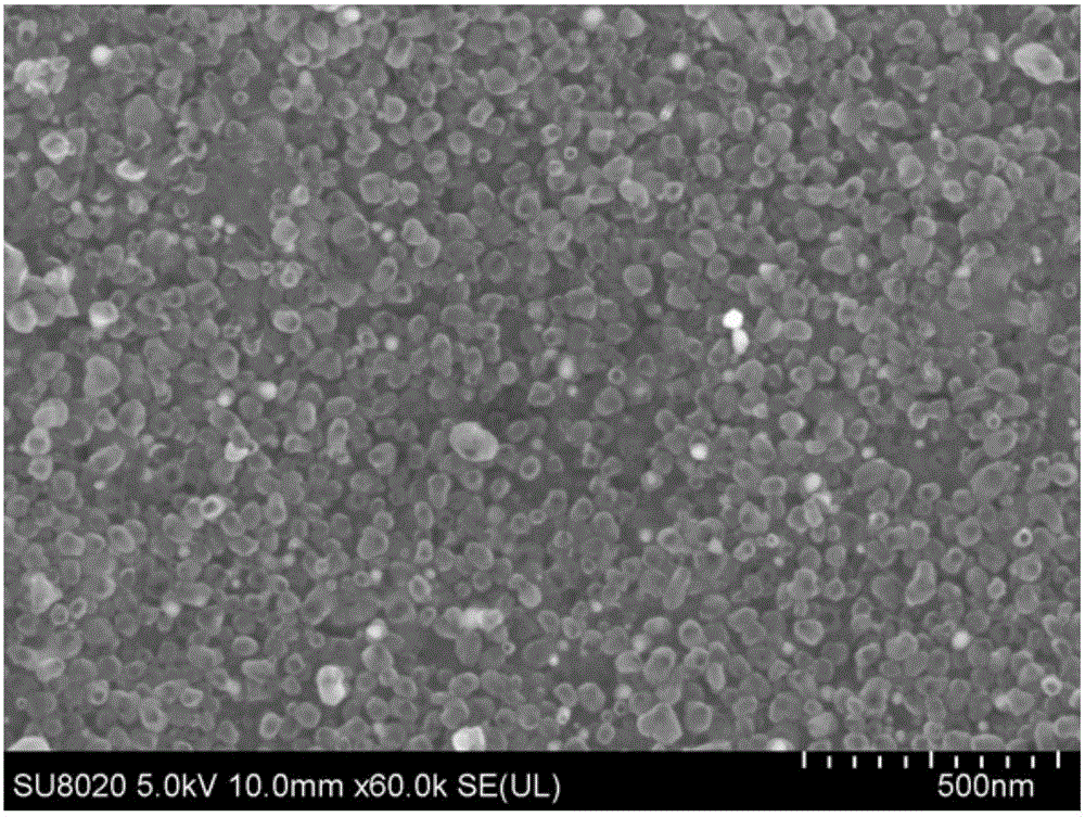 Nitrogen-rich hollow carbon sphere/sulfur composite positive electrode material for lithium-sulfur battery and preparation method of nitrogen-rich hollow carbon sphere/sulfur composite positive electrode material