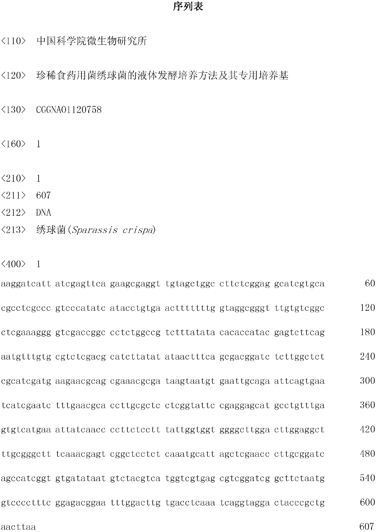 Culture method for liquid fermentation of rare edible-medicinal fungus Sparassis crispa and special medium thereof