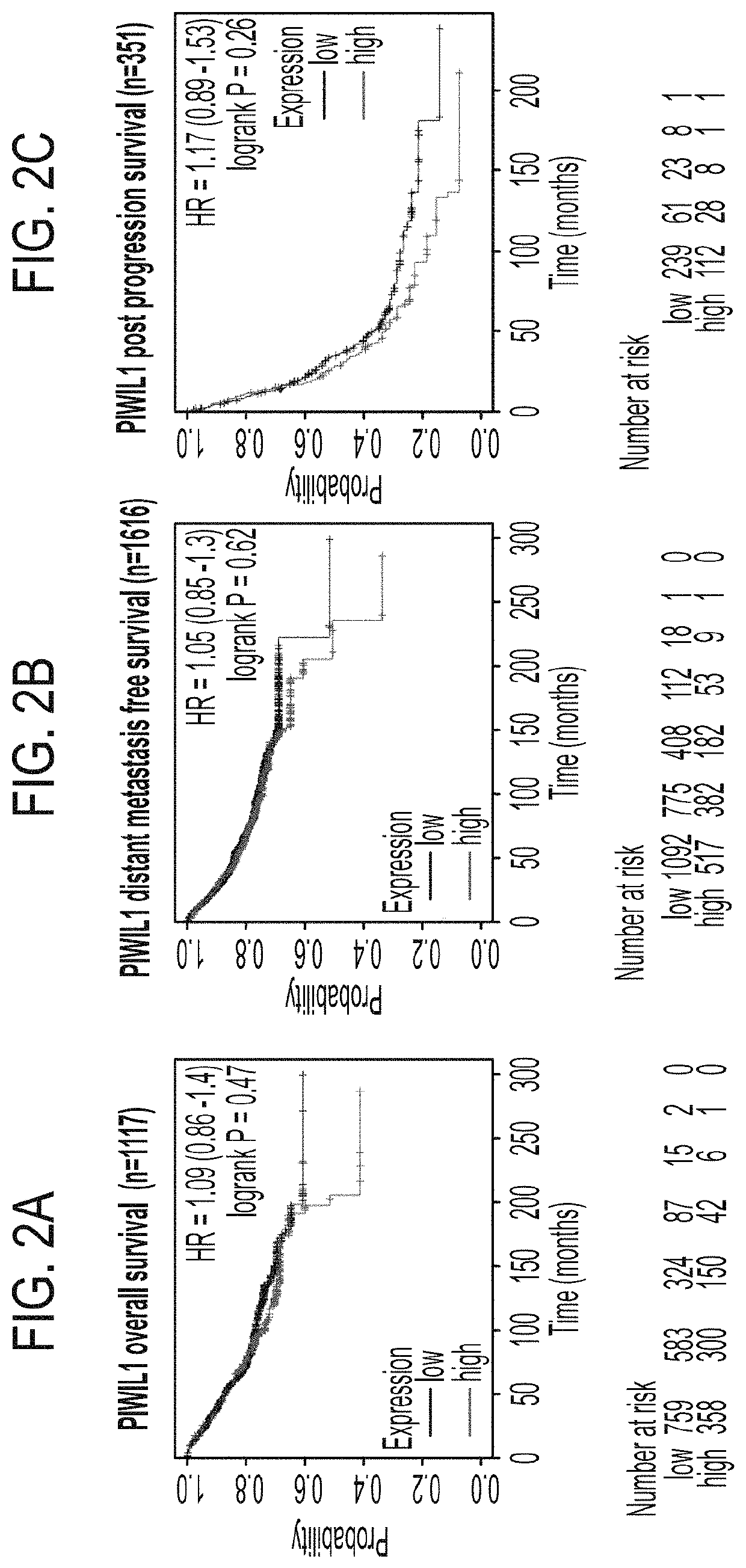 Compositions and methods for treating cancer by inhibiting PIWIL4