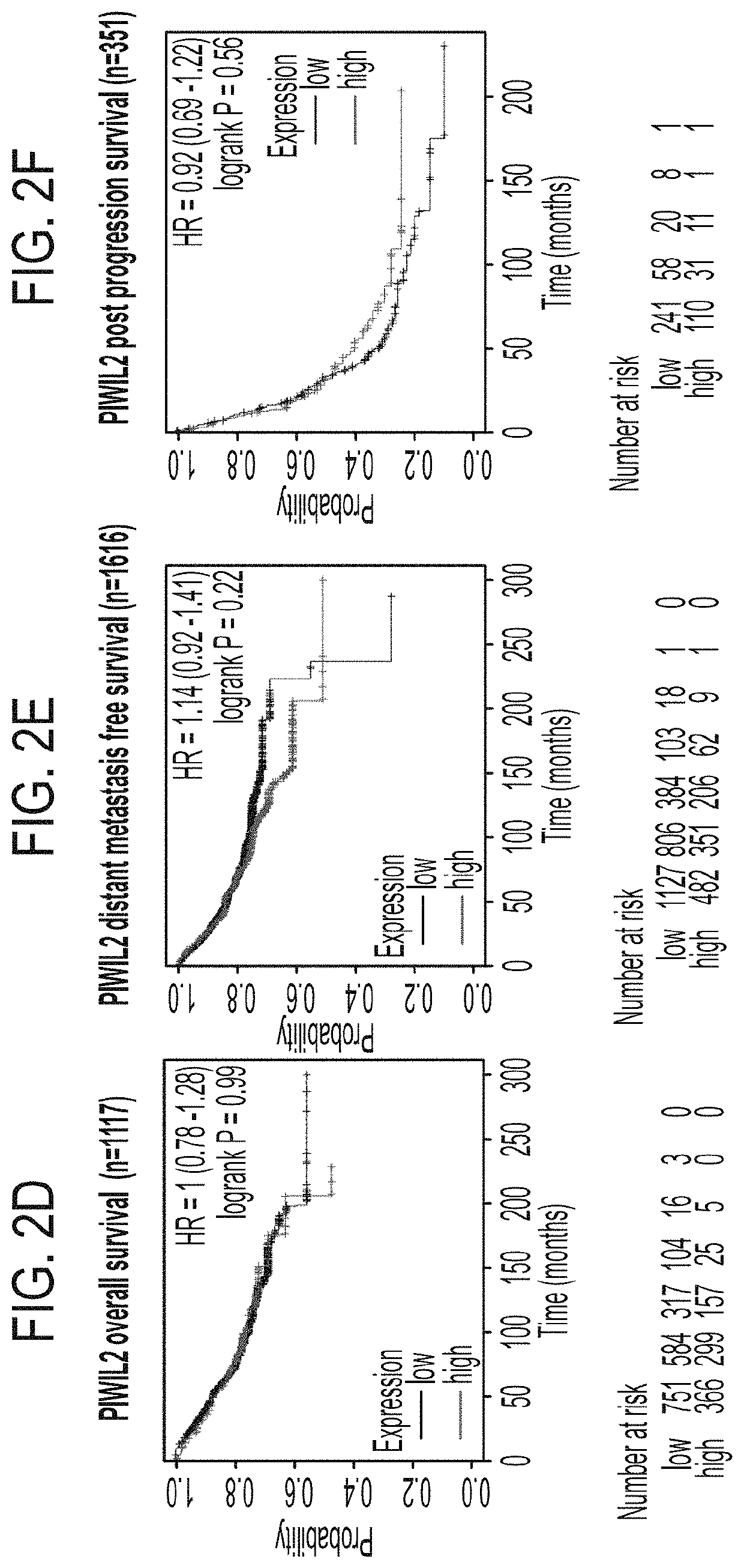 Compositions and methods for treating cancer by inhibiting PIWIL4