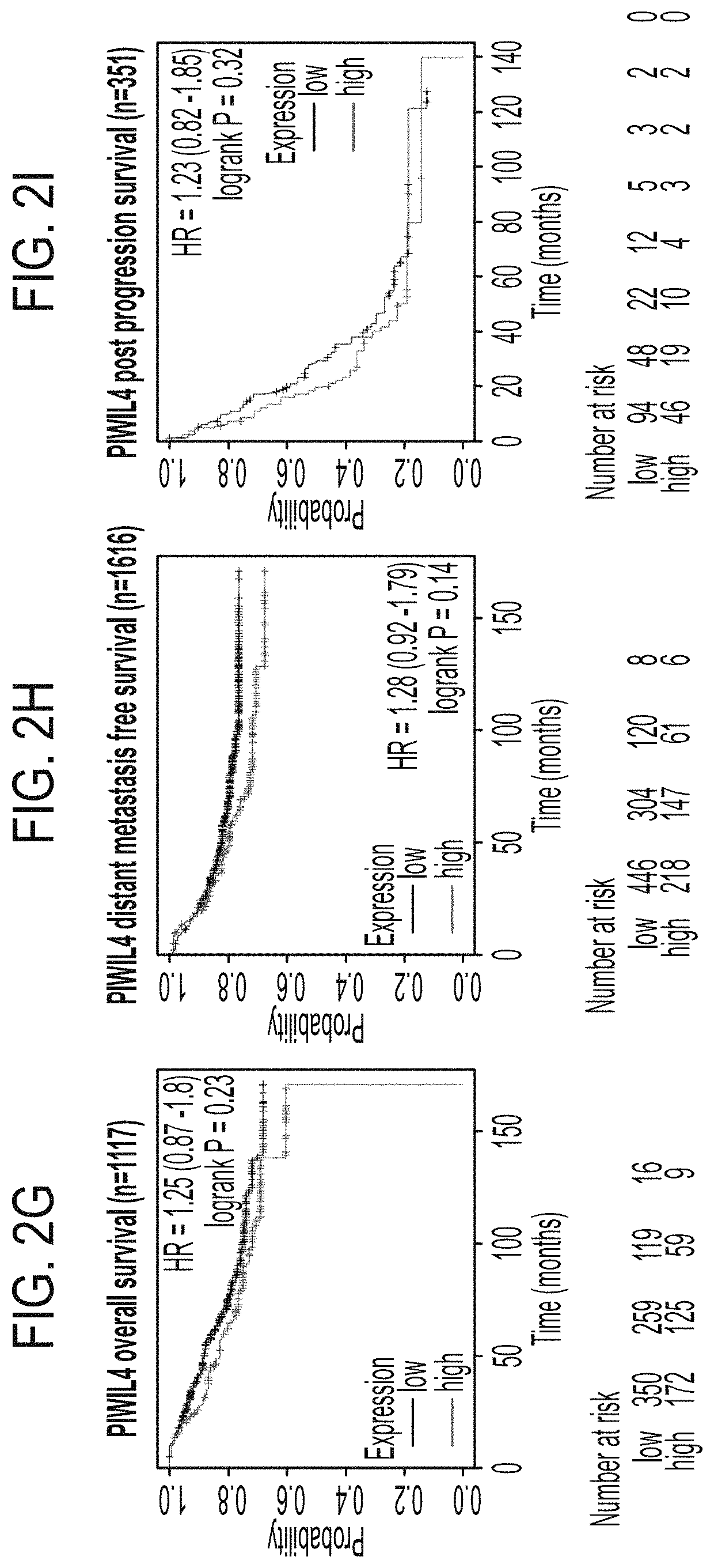 Compositions and methods for treating cancer by inhibiting PIWIL4