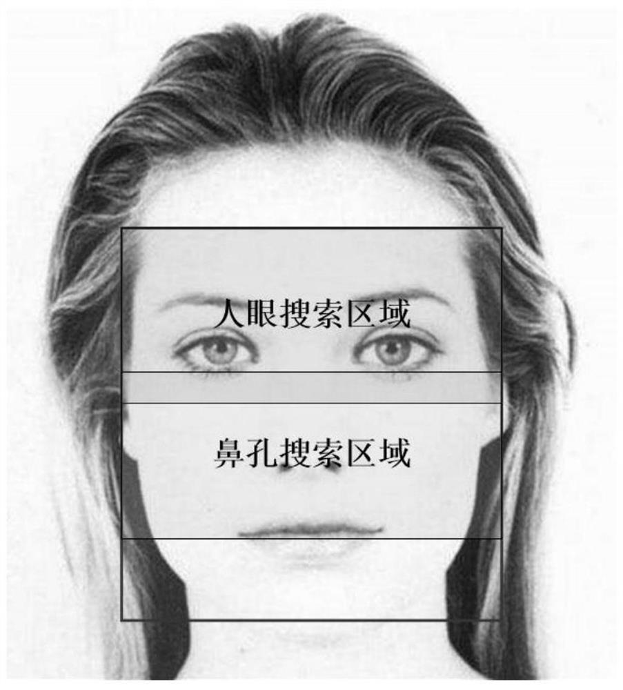 A Human Eye Positioning Method Based on Nose-Eye Structural Constraints