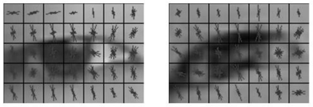 A Human Eye Positioning Method Based on Nose-Eye Structural Constraints